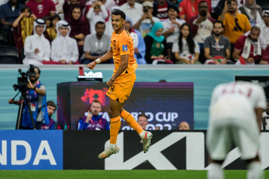 Cody Gakpo of Netherlands celebrates