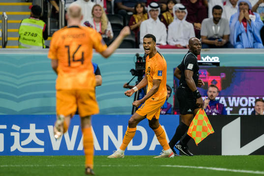 Cody Gakpo of Netherlands celebrates