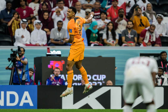 Cody Gakpo of Netherlands celebrates