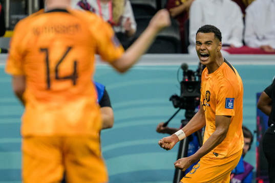 Cody Gakpo of Netherlands celebrates