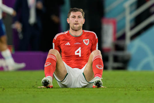 Ben Davies of Wales looks dejected