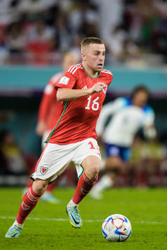 Joe Morrell of Wales