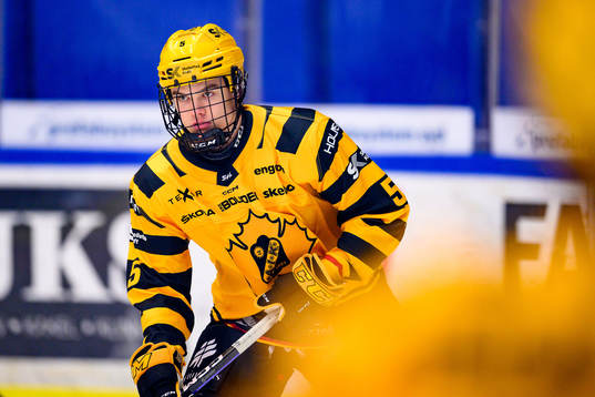 Skellefteås Axel Sandin-Pellikka