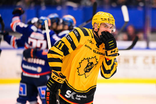 Skellefteås Max Lindholm deppar