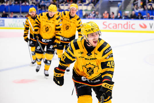 Skellefteås Andreas Wingerli jublar