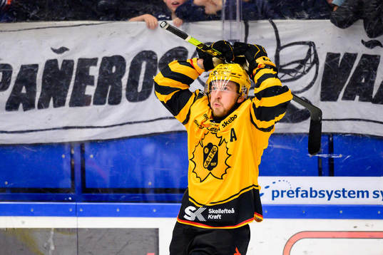 Skellefteås Jonathan Pudas deppar