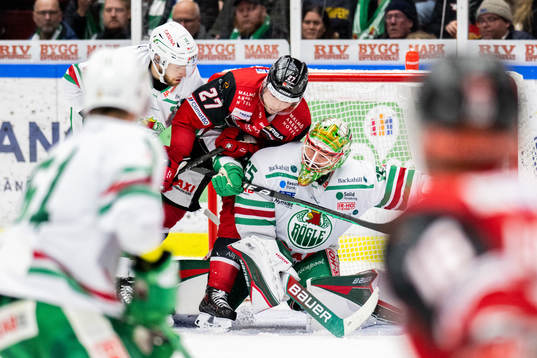 Malmö Redhawks Ponthus Westerholm oroar mot Rögles Lukas