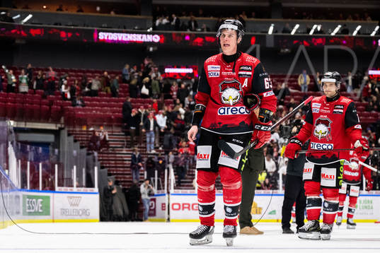 Malmö Redhawks Fredrik Händemark deppar