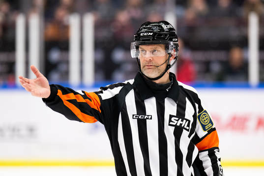 Domare Mikael Nord