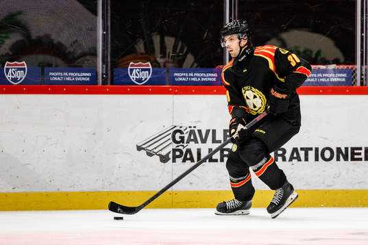 Brynäs Mikko Niemelä