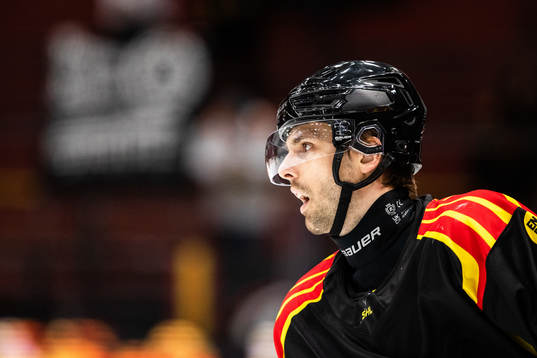 Brynäs Mikko Niemelä