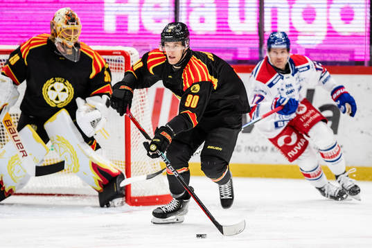 Brynäs David Sklenicka