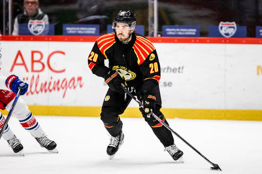 Brynäs Oula Palve