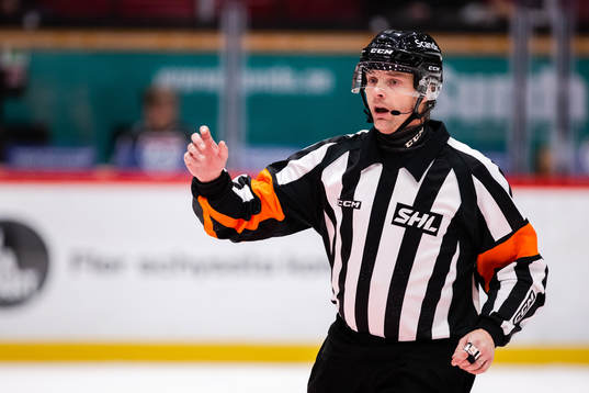 Domare Mikael Andersson