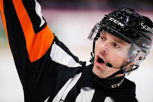 Domare Mikael Andersson