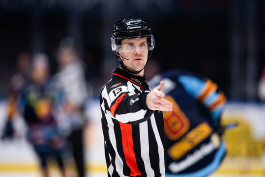 Domare Stefan Johansson