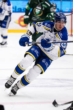 Leksands Carter Ashton