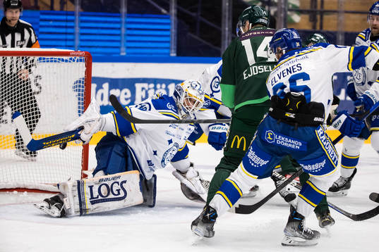 Leksands målvakt Mantas Armalis