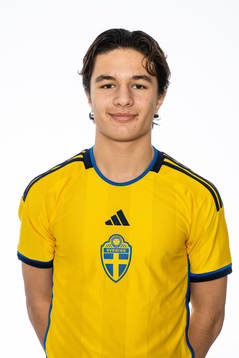 Alfredo Steiner