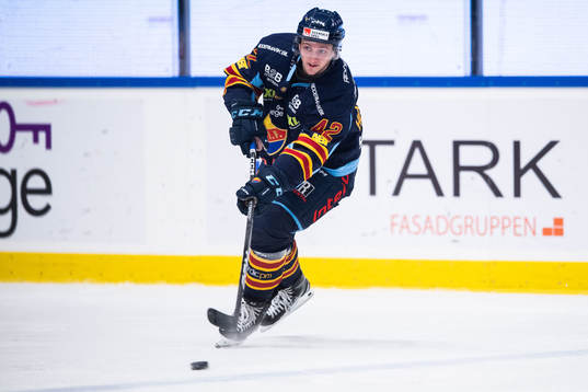 Djurgårdens Ludvig Hedström