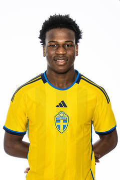 Michael Osayande