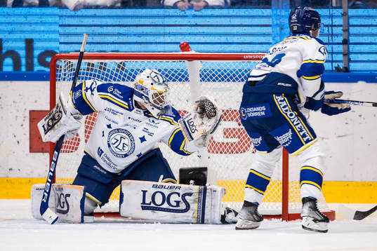 Leksands målvakt Mantas Armalis