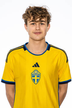 Max Wikström