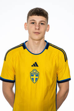 Albert Modig