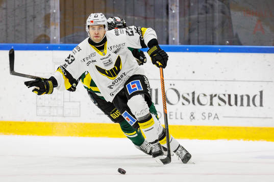 Västerås Sakari  Salminen