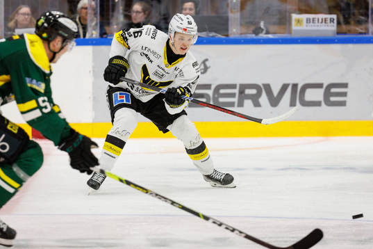 Västerås Liam Dower Nilsson