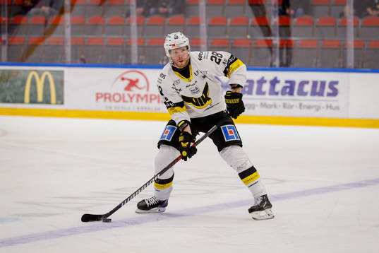 Västerås Lukas Zetterberg