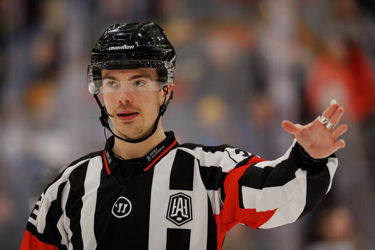 Domare Filip Eriksson
