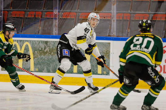 Västerås Isak Skedung