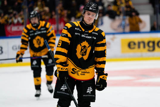 Skellefteås Theo Keilin deppar