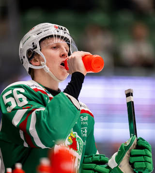 Rögles Adam Engström