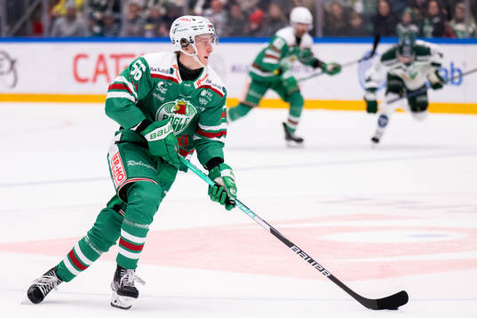 Rögles Adam Engström