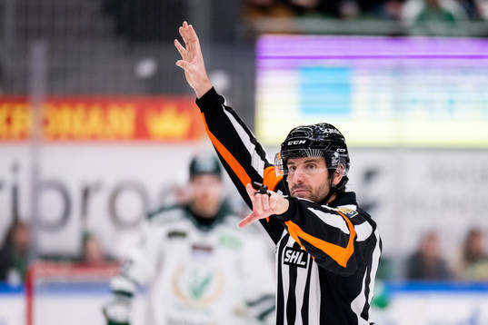 Domare Mikael Sjöqvist