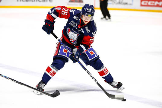 Linköpings Fabian Wagner