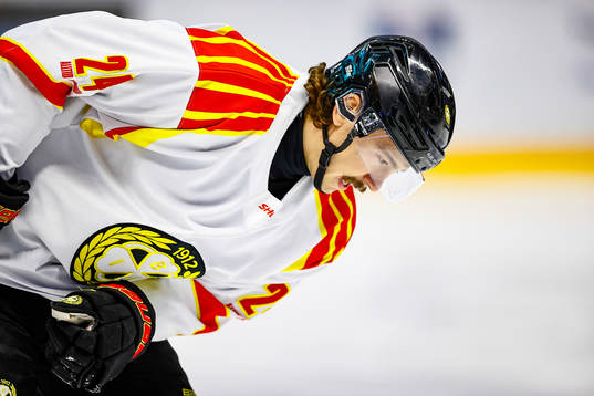 Brynäs Hannes Björninen