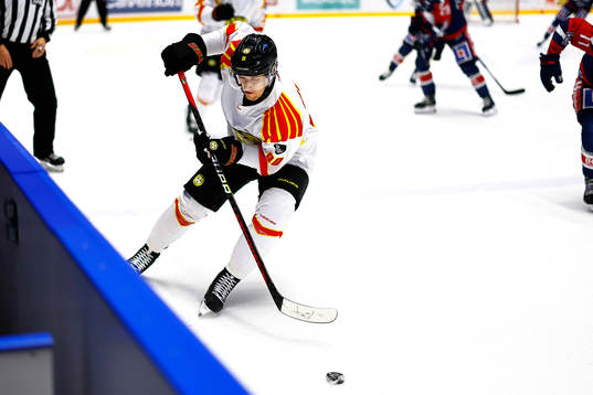 Brynäs David Sklenicka