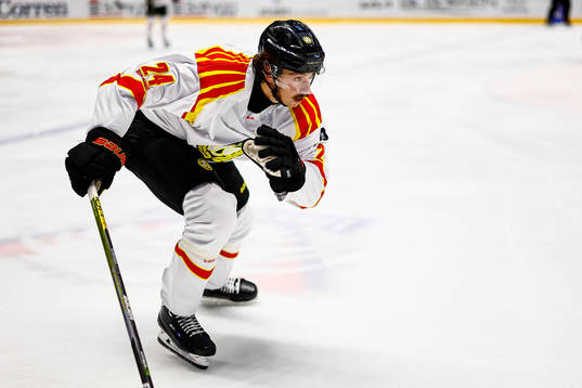 Brynäs Hannes Björninen