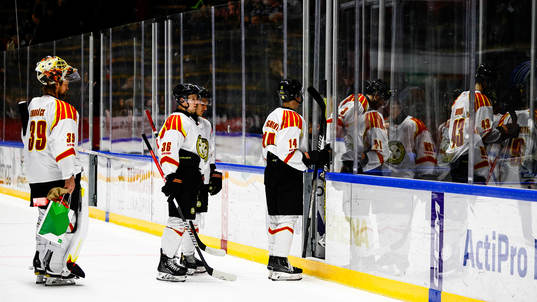 Brynäs spelare deppar