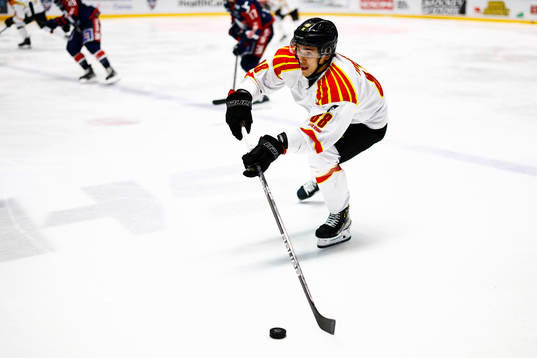 Brynäs Dmytro Timashov
