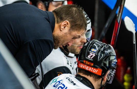Malmö Redhawks tränare Tomas Kollar
