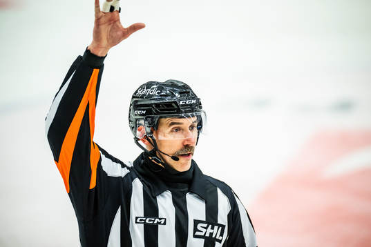 Domare Linus Öhlund
