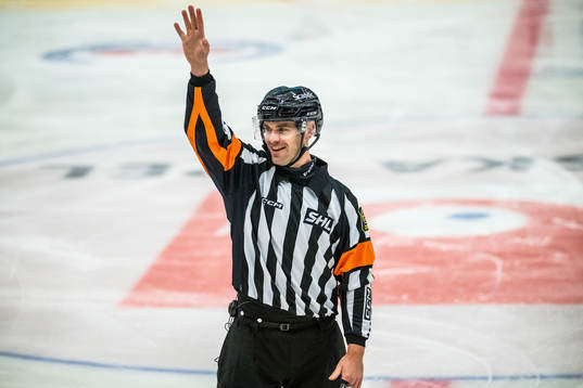 Domare Richard Magnusson