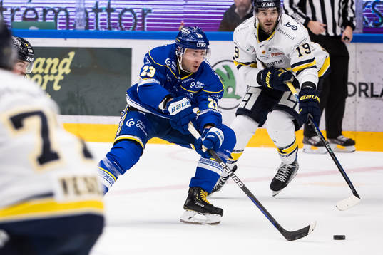 Leksands Mikael Ruohomaa och HV71s Sam Vigneault