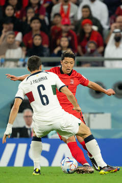 Heechan Hwang of South Korea and Joao Palhinha of Portugal