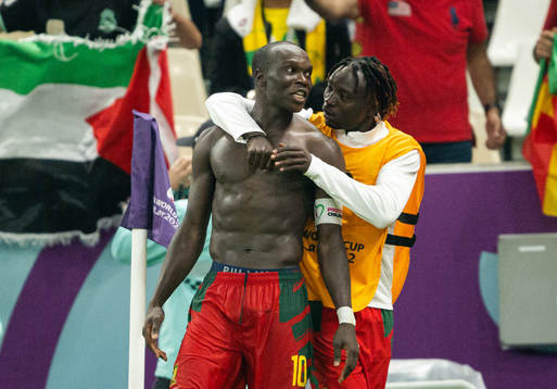 Vincent Aboubakar and Olivier Mbaizo of Cameroon celebrate