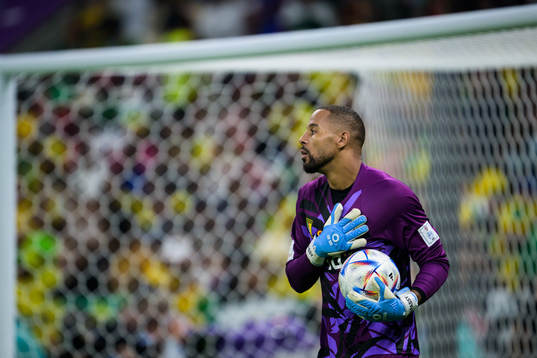 Goalkeeper Devis Epassy of Cameroon